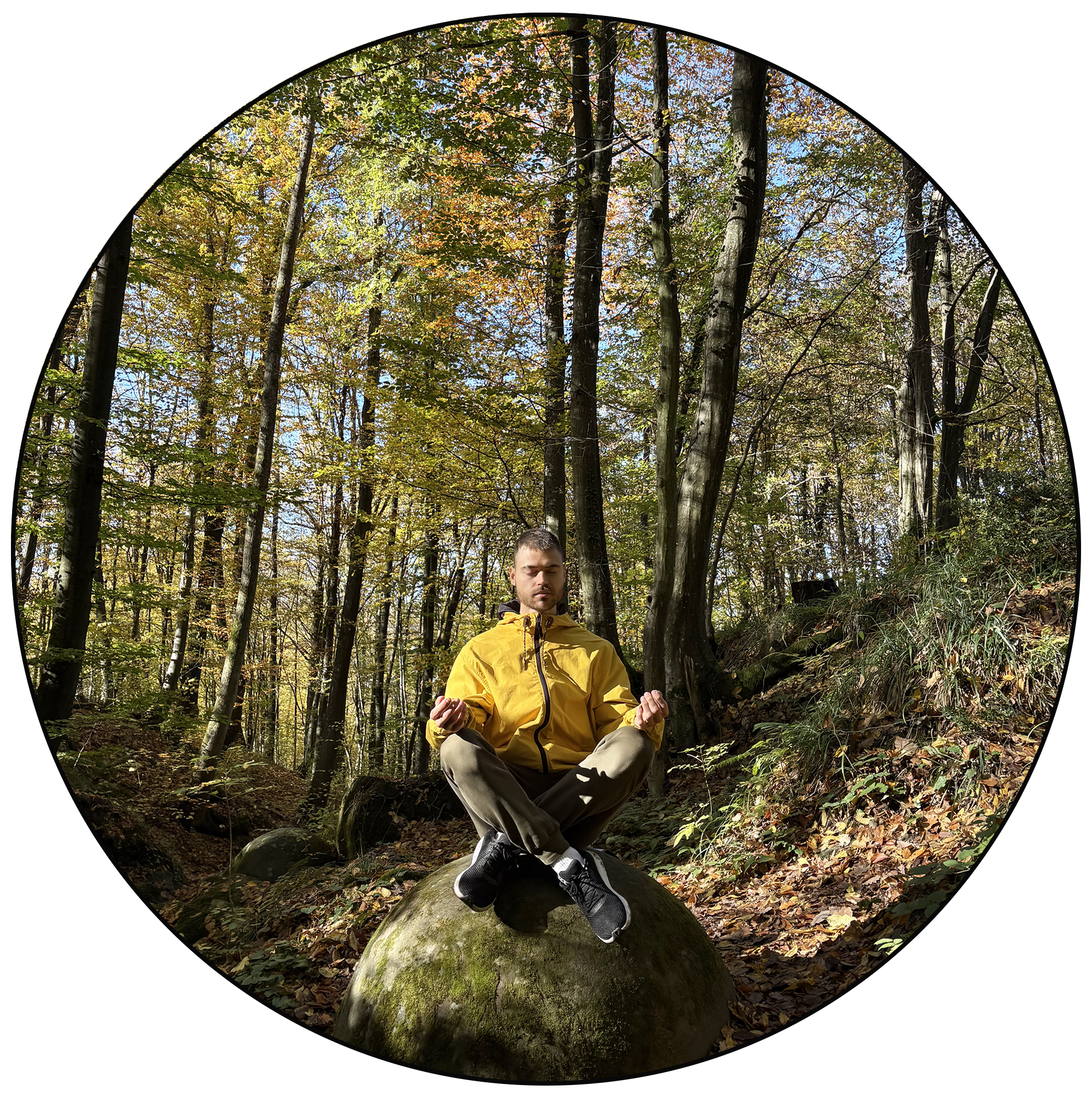 Spletni Program: Kako odpraviti stres